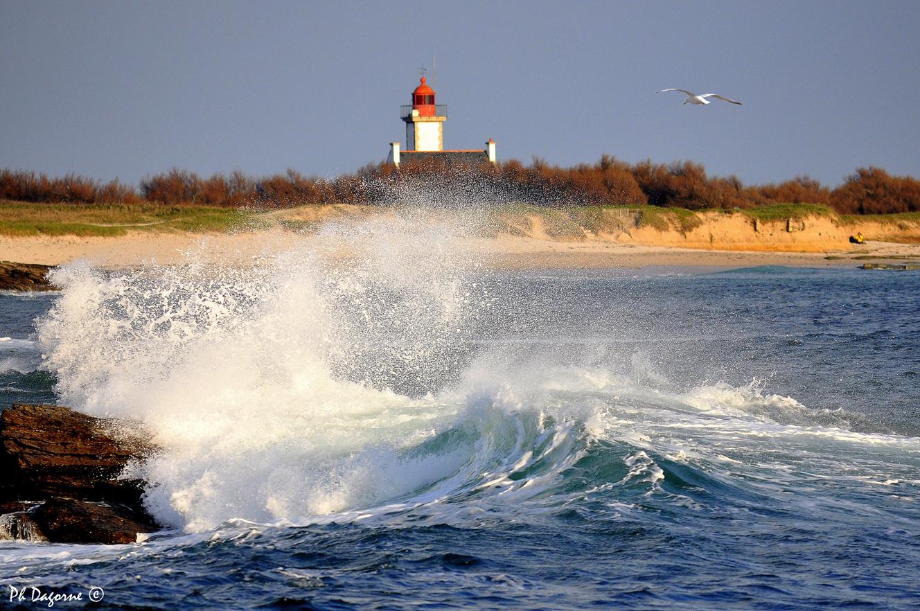 Groix, île nature
