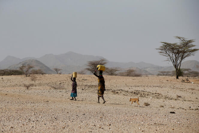 Non loin de la ville de Lodwar, dans la région du Turkana, dans le nord du Kenya, en février 2018.