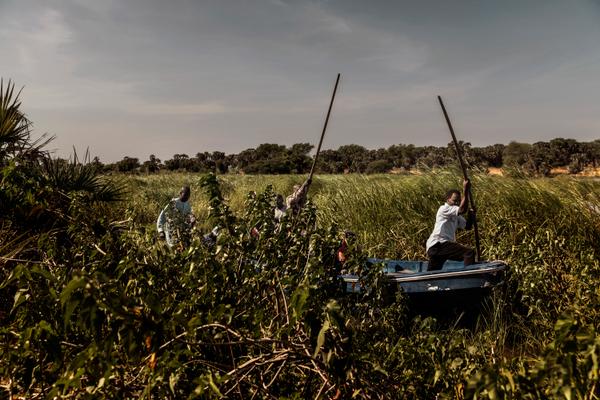 Des hommes naviguent à travers un épais marécage au bord du lac Tchad, le 18 octobre 2018.