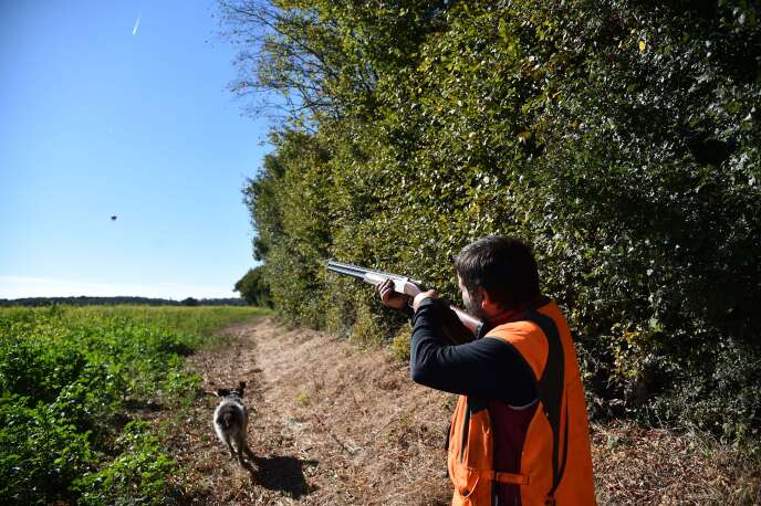 Ouverture de la chasse dans la Sarthe, en septembre 2018.