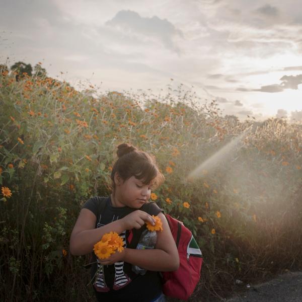 Une fillette faisant partie de la « caravane » de migrants cueille des fleurs sur la route entre Tapanatepec et Niltepec, dans le sud du Mexique. Ce jour-là, elle marchera sur une distance de 50 km.