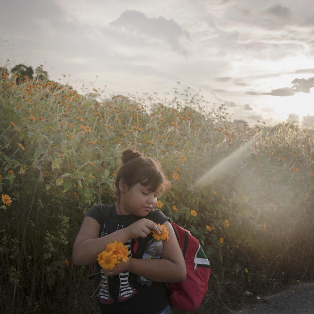 Une fillette faisant partie de la « caravane » de migrants cueille des fleurs sur la route entre Tapanatepec et Niltepec, dans le sud du Mexique. Ce jour-là, elle marchera sur une distance de 50 km.