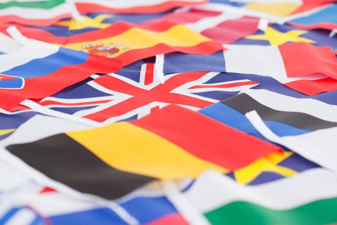 Drapeaux de pays membres de l’Union européenne. Ces derniers sont appelés à élire leurs représentants du 23 au 26 mai.