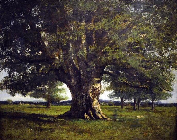 Ornans L Origine Du Monde De Courbet
