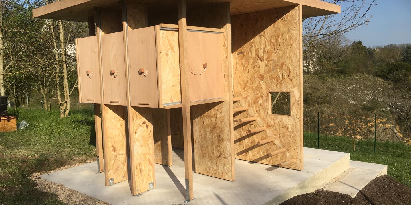 A Chinon Un Poulailler Cinq étoiles Pour Distribuer Des œufs