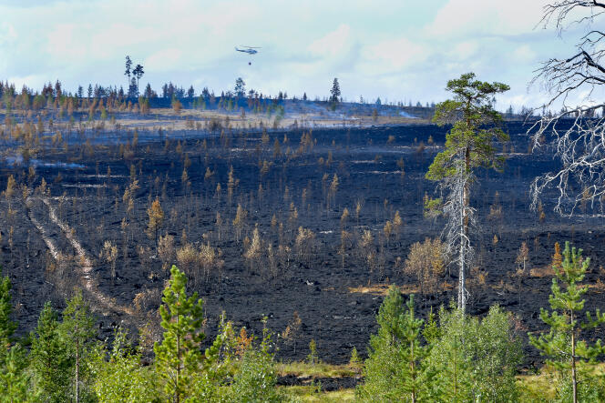 Un feu de forêt près de Sarna, dans le centre de la Suède en juillet 2018.