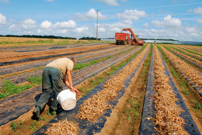Il Faut Tenir Compte De La Difference D Esperance De Vie