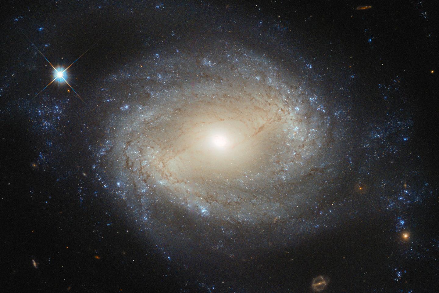 &laquo; Cosmisme &raquo; : l&rsquo;espace comme refuge pour l&rsquo;humanit&eacute;, des penseurs russes &agrave; la Silicon Valley