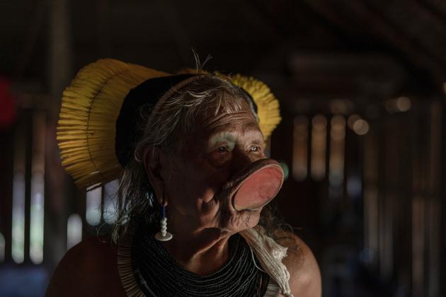 En 2010, l’association Forêt vierge dépose la marque « Raoni », avec pour logo  la coiffe de plumes jaunes. Des produits dérivés tels que savon, parfum, gel douche, vêtements, chaussures, produits alimentaires, plantes cosmétiques, boissons gazeuses, etc. ont été commercialisés.