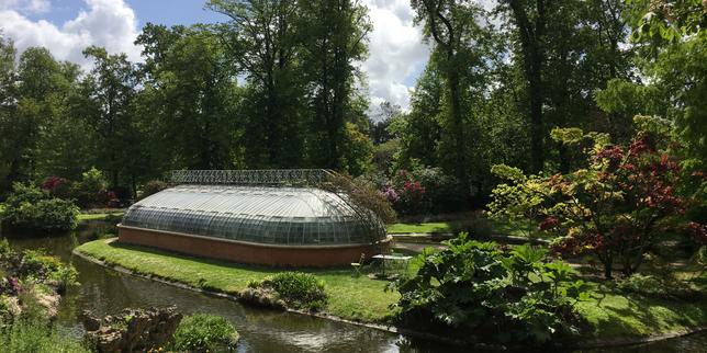 A Paris, Lyon, Genève... ces beaux jardins d'hiver