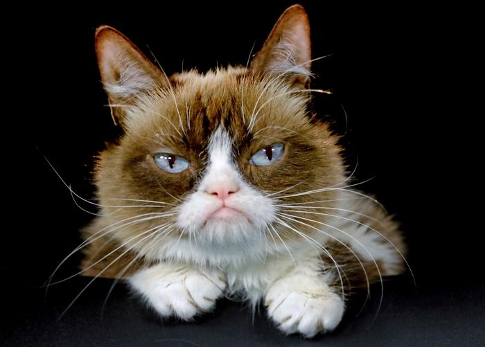 Avatar du membre