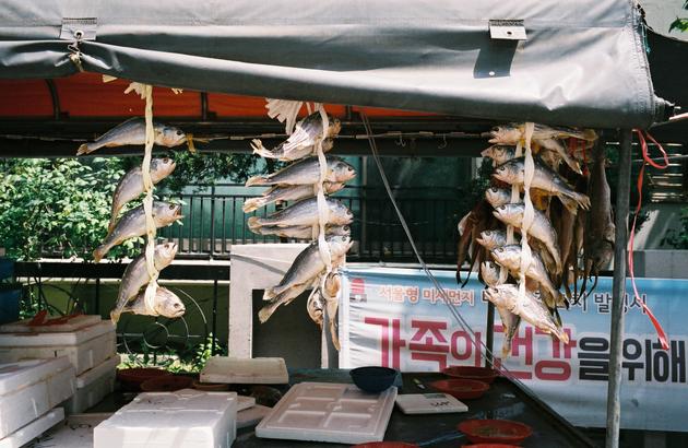 Boutique de poissons séchés dans le quartier de Gukjegeumyung.