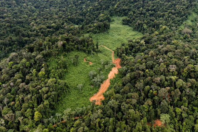 Vue aérienne du site prévu pour le projet de la « Montagne d’or », en mai 2017, en Guyane.