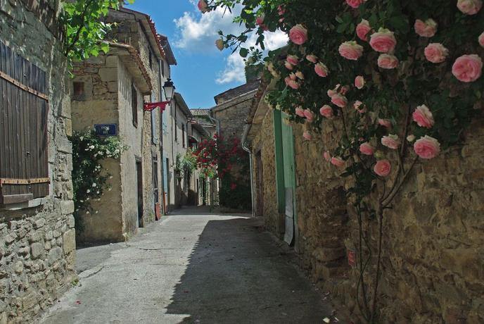 Camon et ses roses grimpantes.