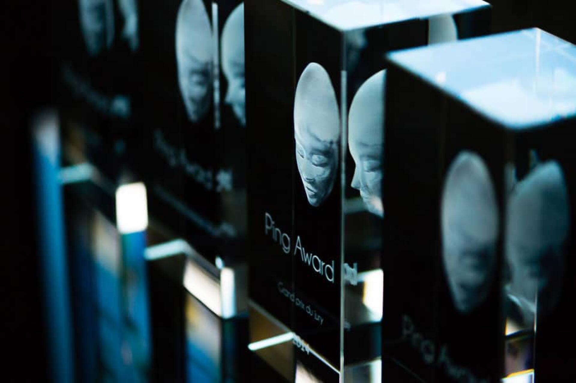 Depuis 2013, les Ping Awards récompensent la création française. Ils seront désormais en concurrence avec les Pégases.