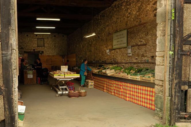 Dans la ferme du lieu-dit La Touche, au Poiré-sur-Vie, Pierre-Yves You cultive en agriculture biologique et vend sa production quatre fois par semaine sur le marché de La Roche-sur-Yon ou dans sa grange, transformée en épicerie tous les vendredis après-midi.