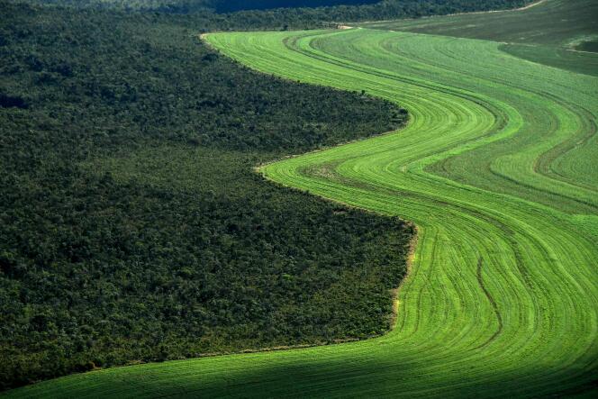 Une plantation agricole grignote le Cerrado, près de Formosa do Rio Preto, au Brésil, le 29 mai.