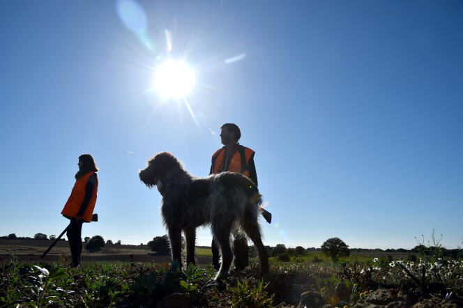 Des chasseurs et leur chien, à Melleray, dans le Sarthe, en septembre 2018.