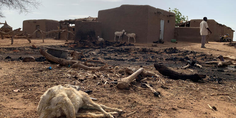 A dead animal is seen amidst the damage at the site of an attack on the Dogon village of Sobane Da, Mali June 11, 2019. Picture taken June 11, 2019. REUTERS/Malick Konate  NO RESALES. NO ARCHIVES.      TPX IMAGES OF THE DAY