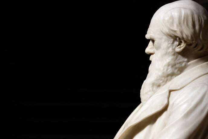 Une statue de Charles Darwin, qui causa tant de tort à bien des croyances, au Natural History Museum, à Londres.