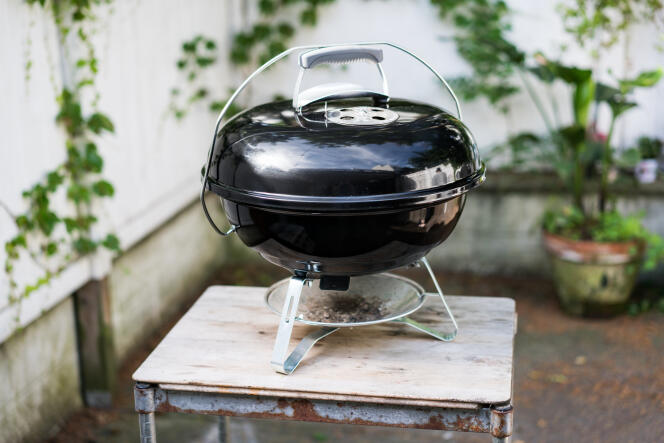 Barbecue à gaz Weber Q1200 Stand - Surface de cuisson 43x32 cm