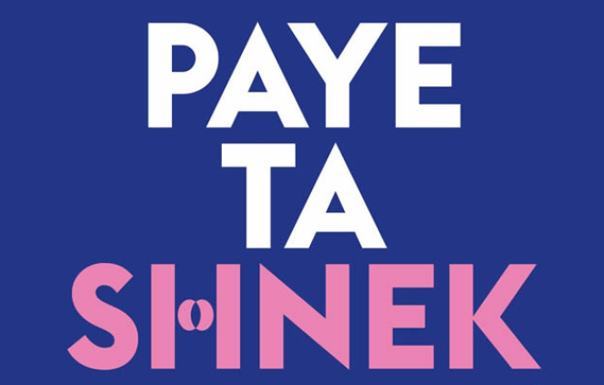 Le Tumblr Paye ta shnek a été lancé en 2012, par la militante indépendante Anaïs Bourdet.