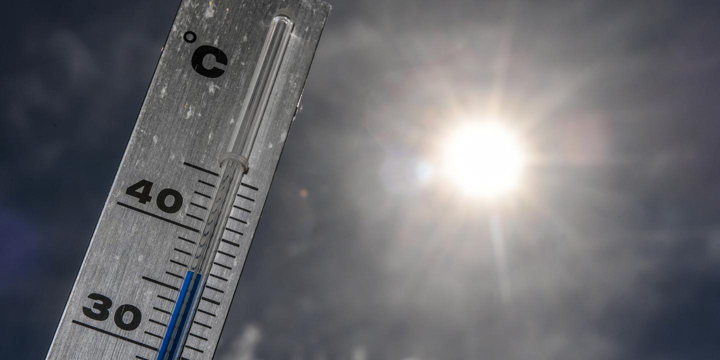 Canicule : comprendre la température ressentie