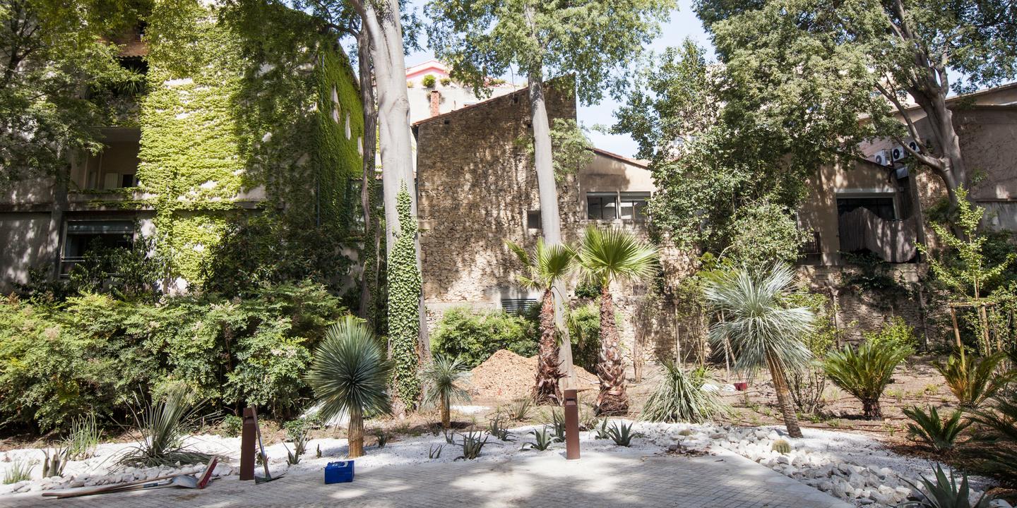 a montpellier bertrand lavier cree un atlas vegetal