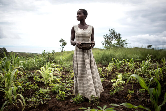 Une femme plante des graines dans un champ à Kabutunga, en République démocratique du Congo (RDC), en mars 2018.