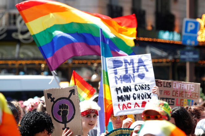 Des manifestants brandissent des pancartes réclamant la procréation médicalement assistée pour toutes, lors de la Gay Pride à Paris, le 29 juin 2019.