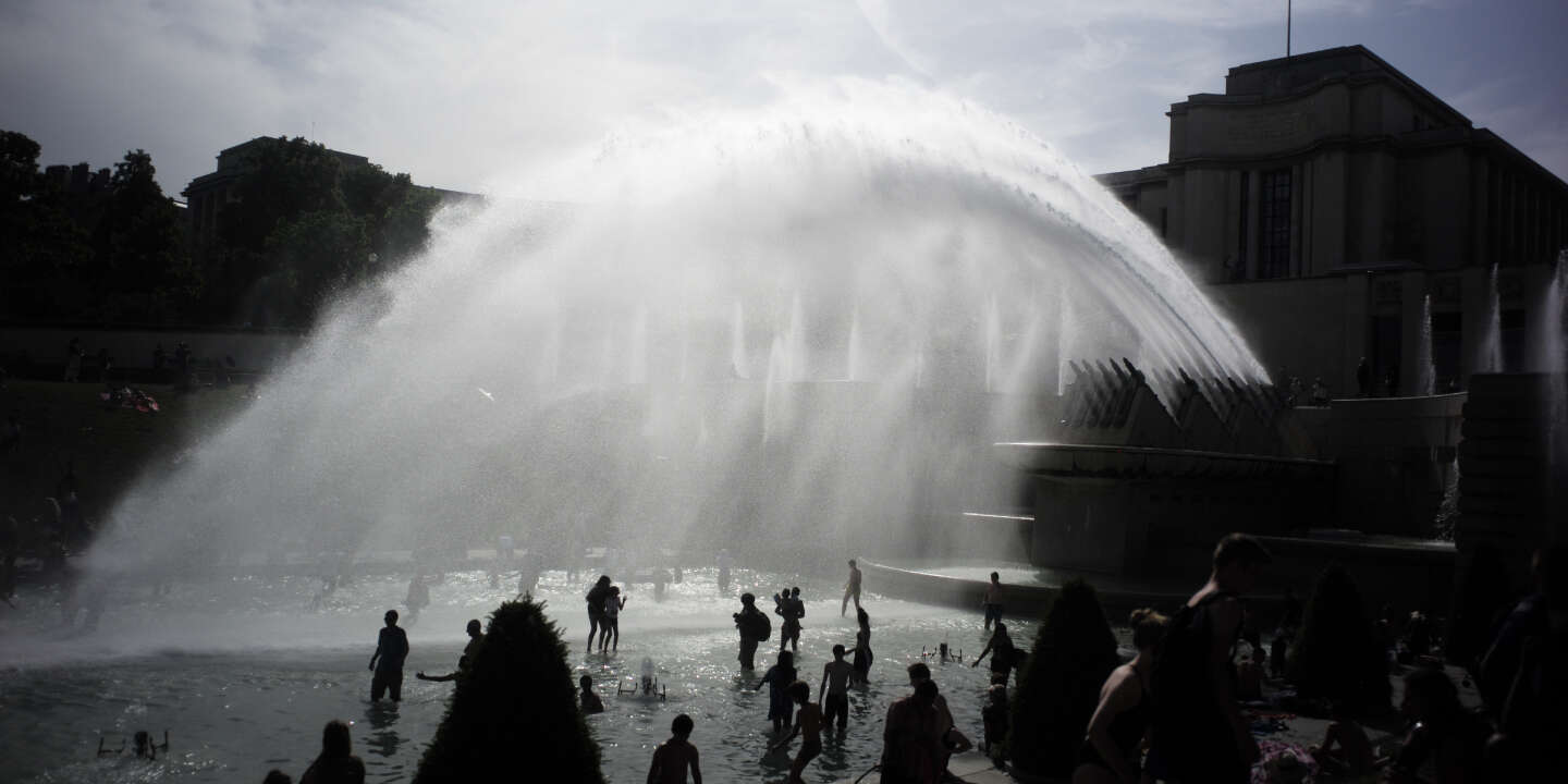 Canicule Les Questions Pas Si Bêtes Que Vous Vous Posez