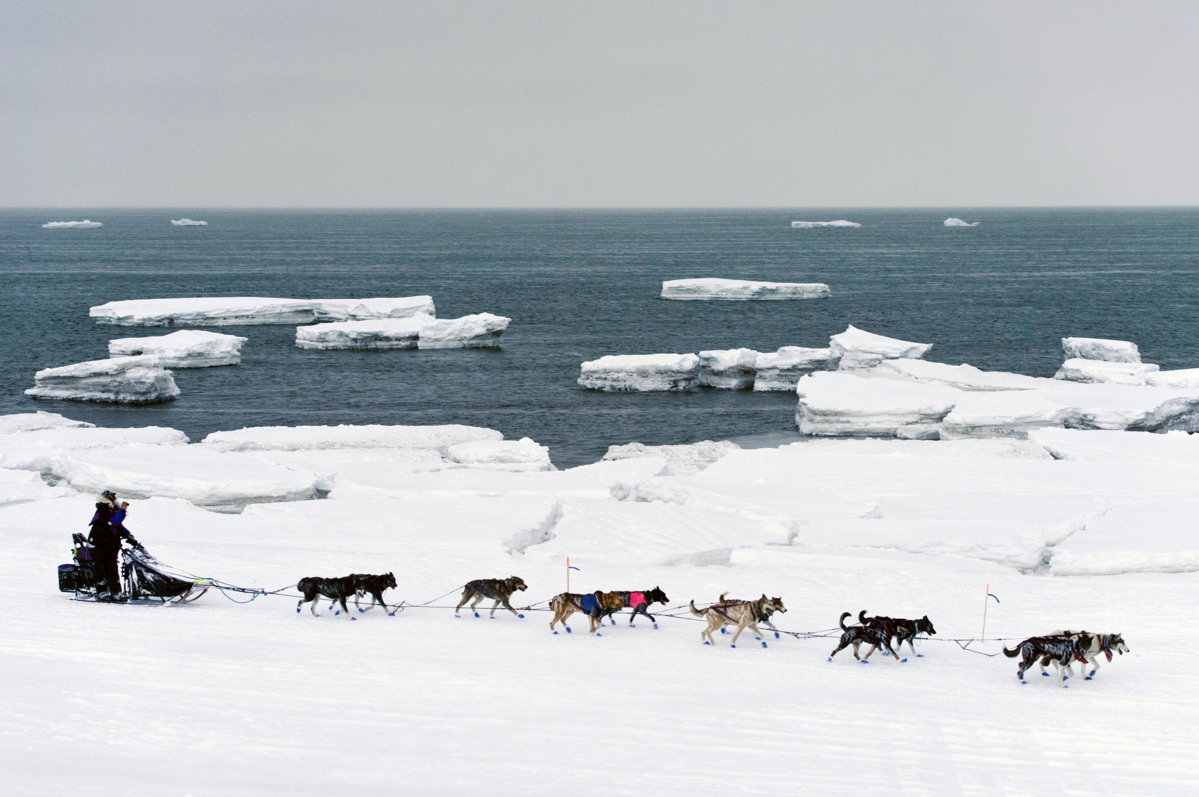 Le 13 mars 2019, Jessie Royer passe devant un iceberg en eau libre sur le détroit de Norton à l’approche de Nome, en Alaska, dans la course de chiens de traîneau du sentier Iditarod.