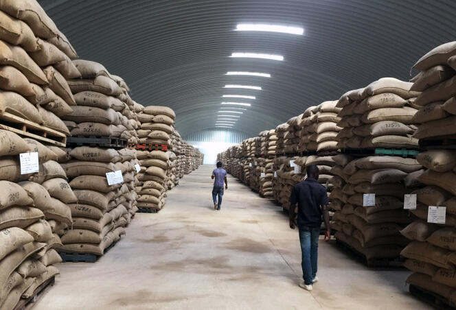 Un entrepôt du géant du négoce ivoirien Saf cacao à San Pedro, en octobre 2016.