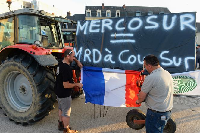 Pourquoi l'accord avec le Mercosur est si critiqué