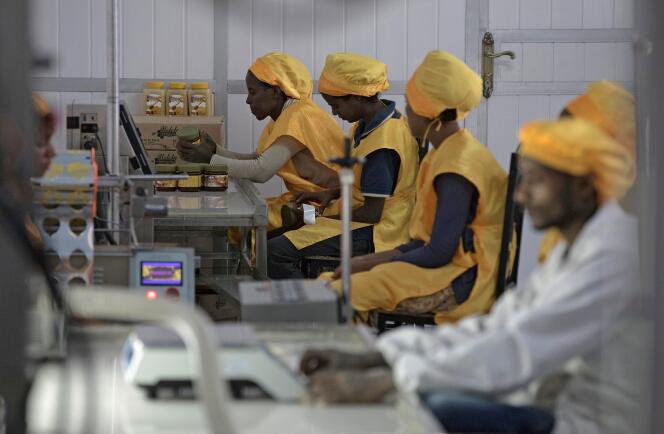 Une usine de miel à Mekele, le 30 mars 2017.