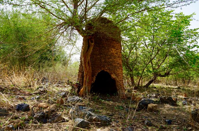 Le four de Nimpoui, village du Centre-Nord du Burkina, a été « découvert » il a une dizaine d’années par l’un des premiers archéologues ouest-africains, Jean-Baptiste Kiéthéga.