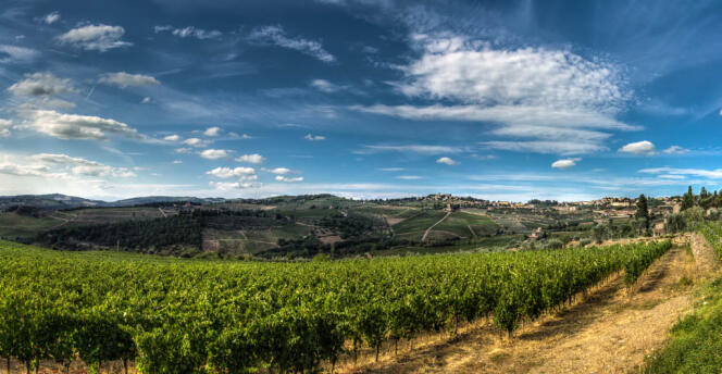 La campagne toscane, sublime avec ses vignes à flanc de vallées.