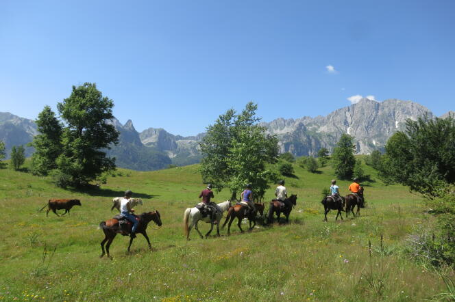 Au Monténégro, le canyon de Tara, le plus profond d’Europe, s’arpente à dos de cheval de montagne des Balkans, en mode western.