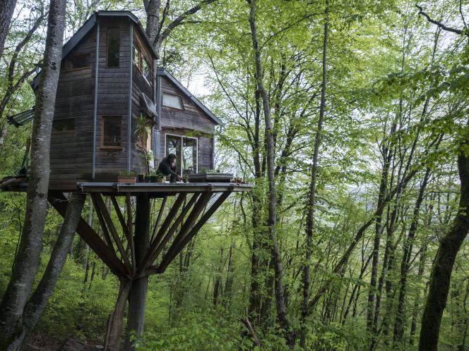 Xavier Marmier et sa compagne, Line, vivent dans une cabane à plus de 7 m de haut, à Cléron (Doubs).