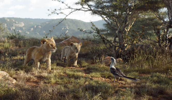 Une scène du film « Le Roi Lion », sorti en salle le 17 juillet.