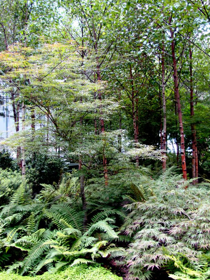 Jardin créé pour un immeuble du ministère de la culture en 2011, à Paris.