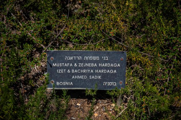 Juifs De Sarajevo Les Héros Ordinaires De La Jérusalem - 