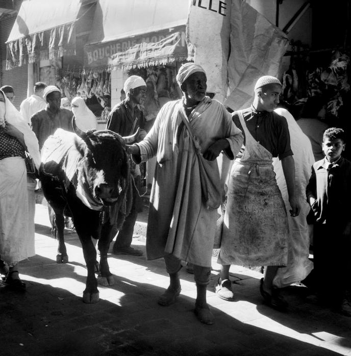 The end of denial about Algeria in French museums