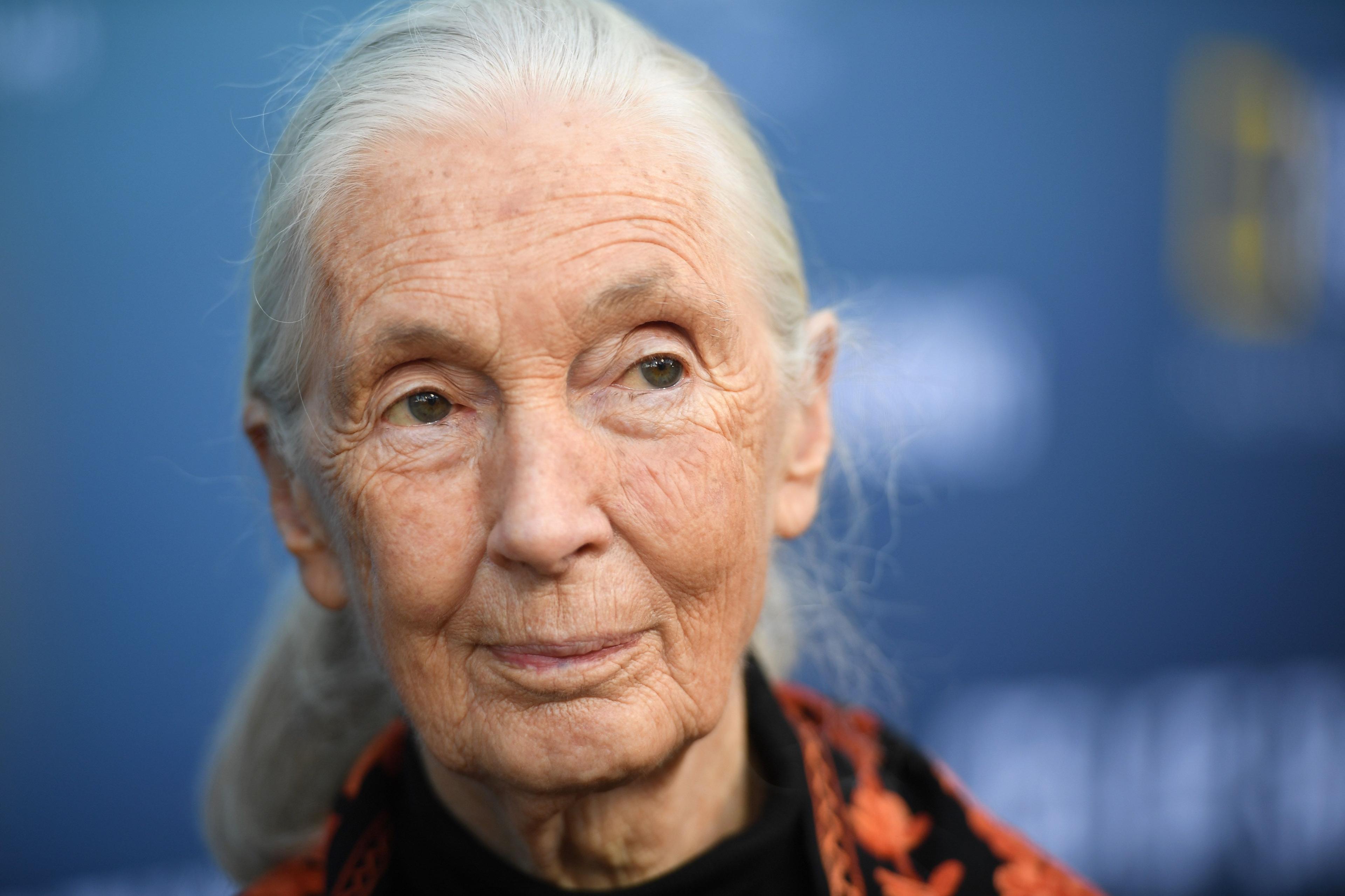 L’éthologue britannique Jane Goodall, à Los Angeles, le 10 juillet 2019.