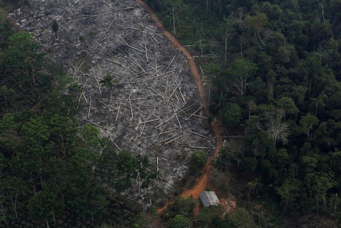 Photo aÃ©rienne de la dÃ©forestation en Amazonie, le 3 septembre 2015.