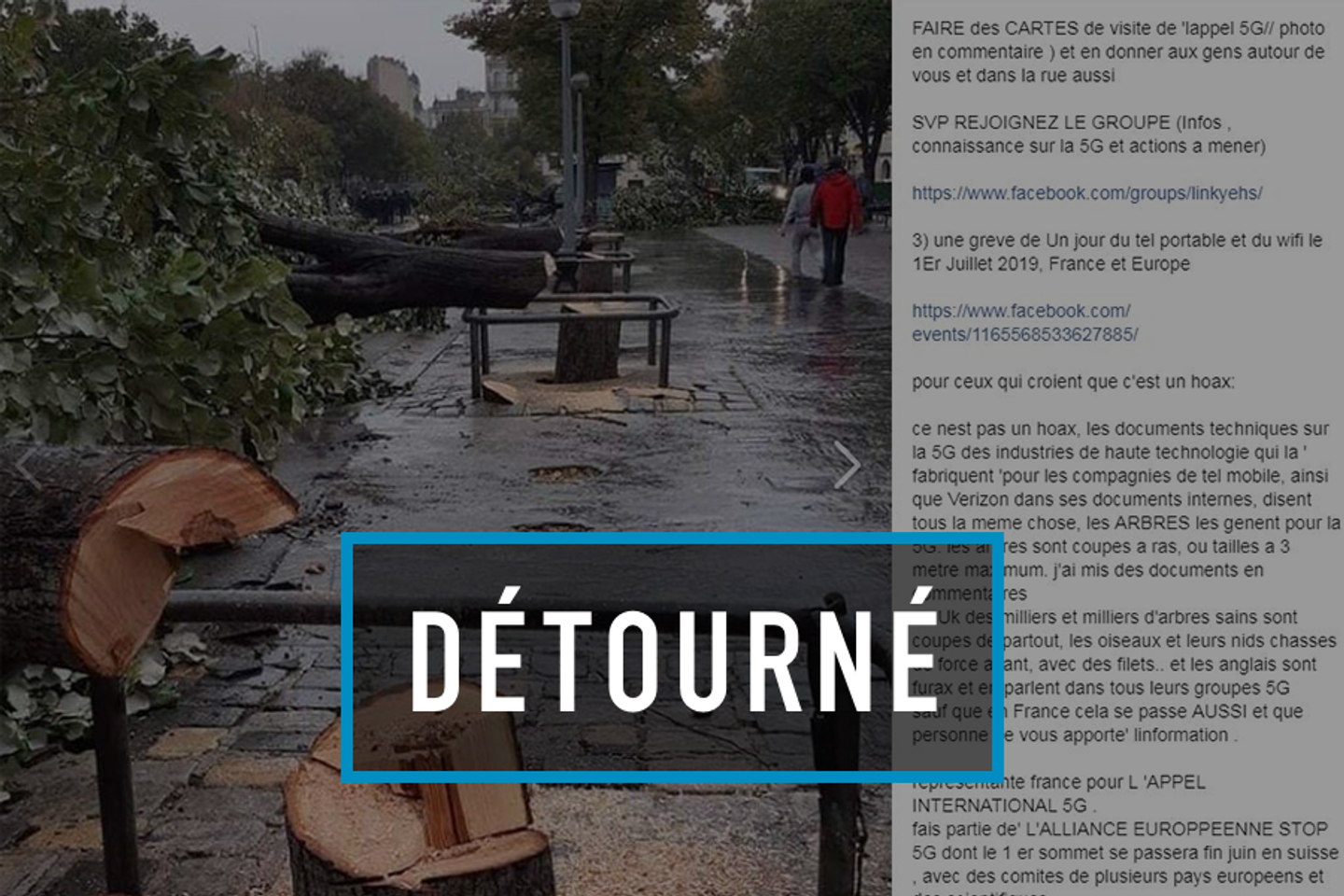 Image accompanying La 5G détruit les arbres