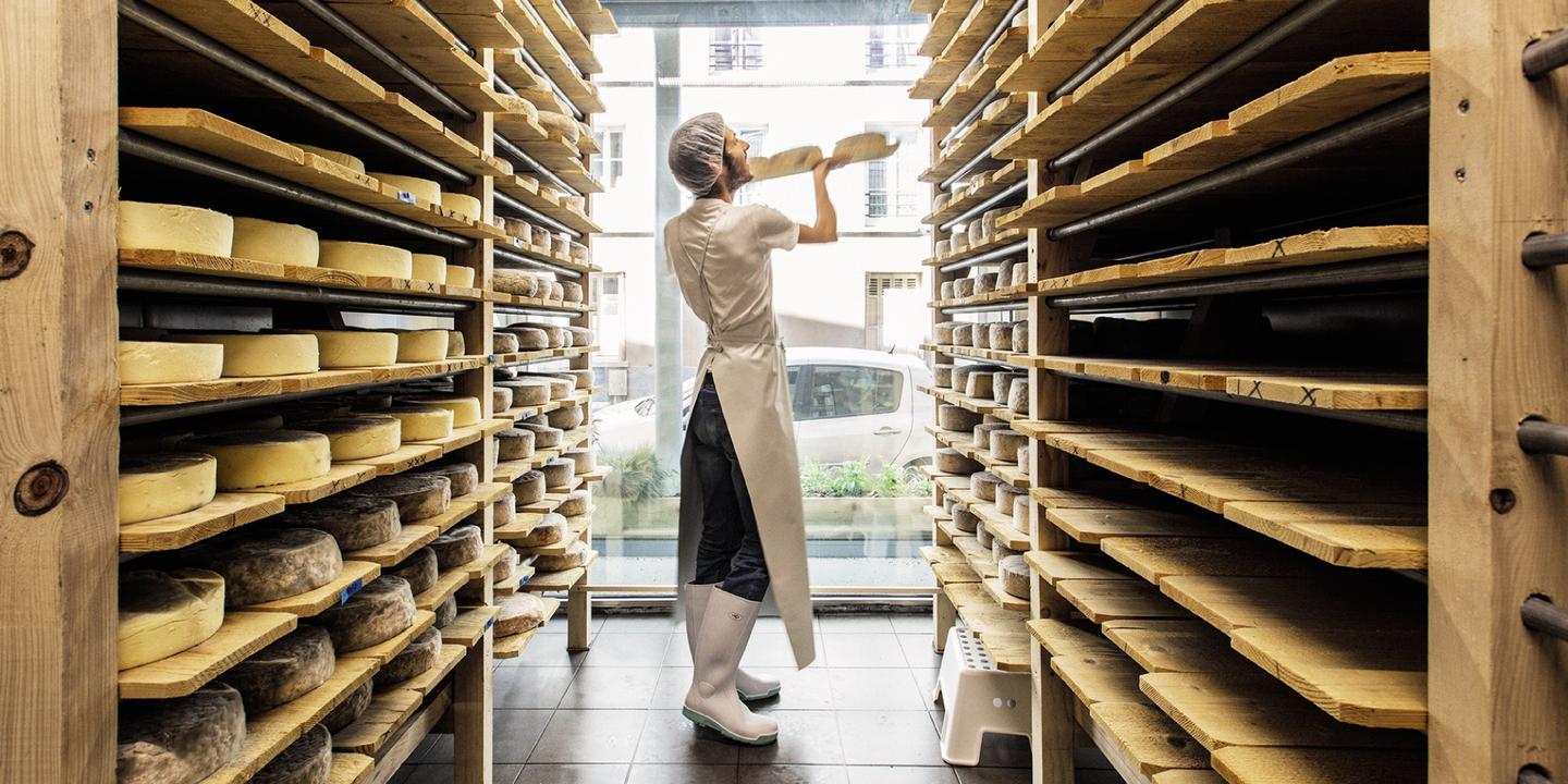 Rentrée culinaire : rendez-vous en terres appétissantes
