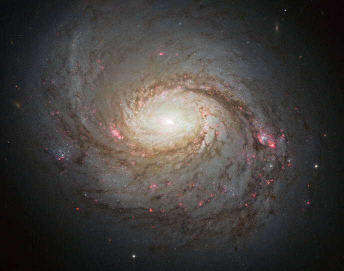 La galaxie spirale Messier 77, une galaxie de la constellation de Cetus située à environ 45 millions d’années-lumière de la Terre, photographiée par le télescope spatial Hubble.