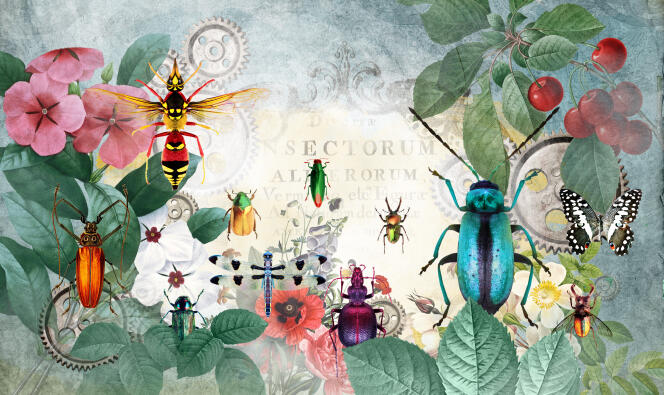 La Confrerie Des Insectes Ces Scientifiques Independants Qui Enquetent Sur La Disparition Des Abeilles