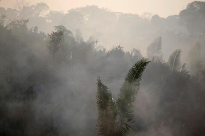 Un feu près de Humaita, en Amazonie (Brésil), le 14 août 2019.
